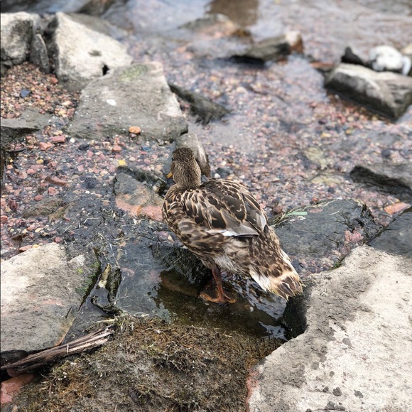 Meet your Posher, Shannon - Picture 1 of 1